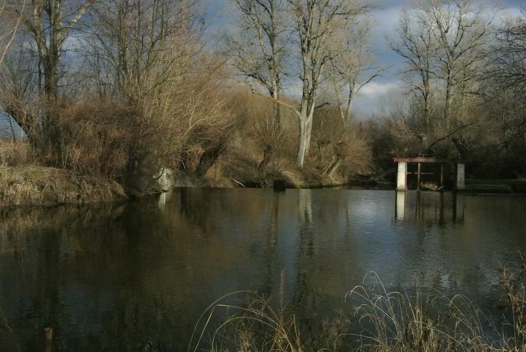 Penzion U Reky Vojkovice  Exterior foto