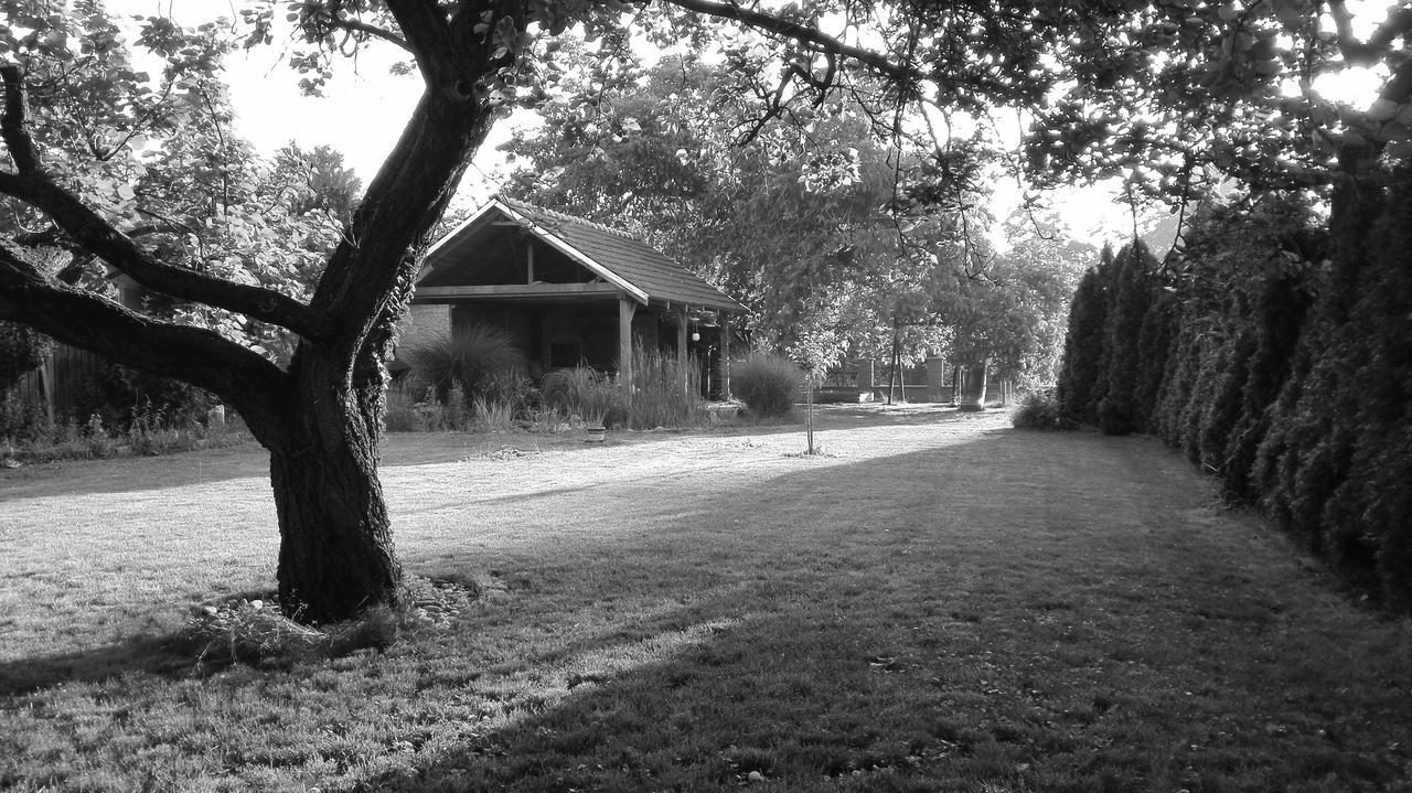 Penzion U Reky Vojkovice  Exterior foto